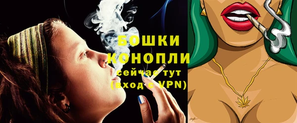 гашик Осинники