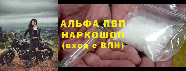 гашик Осинники