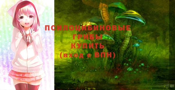 гашик Осинники
