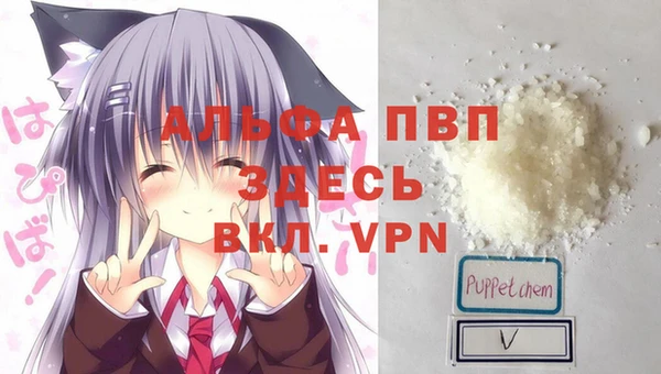 гашик Осинники