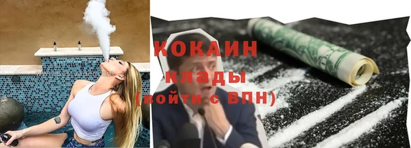 гашик Осинники