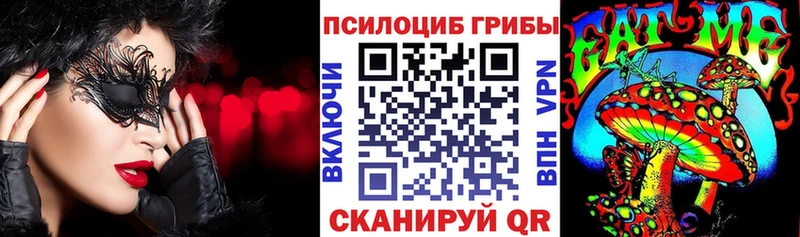 Псилоцибиновые грибы Cubensis  Ессентукская 